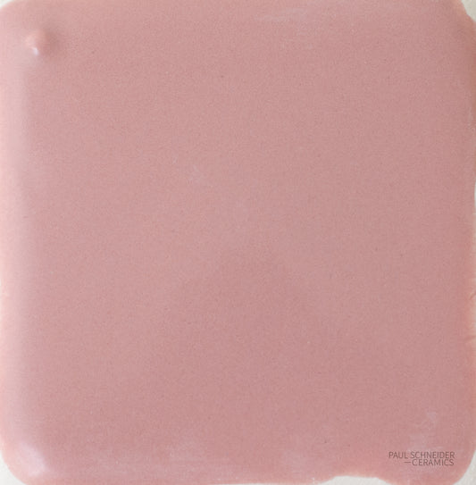 Sample - Solid Glossy / #1565-L