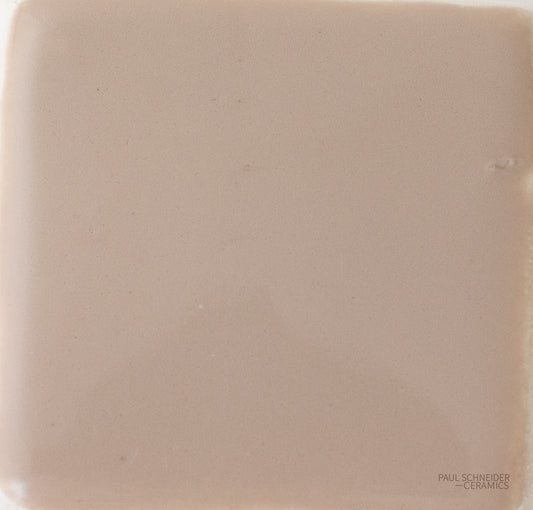 Sample - Solid Glossy / #1572-L