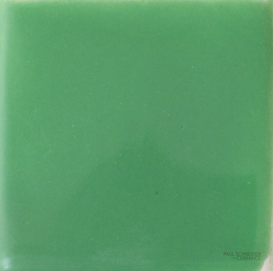 Sample - Solid Glossy / #1598-L