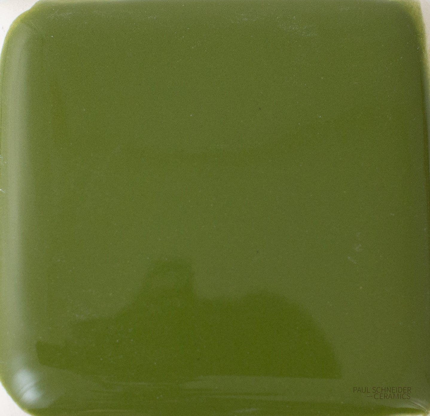 Sample - Solid Glossy / #1601-L