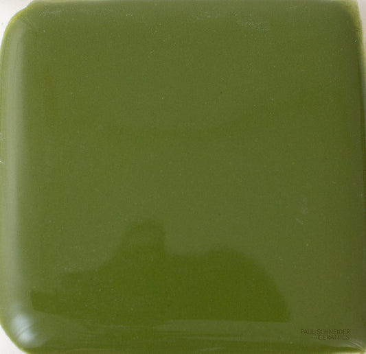 Sample - Solid Glossy / #1601-L