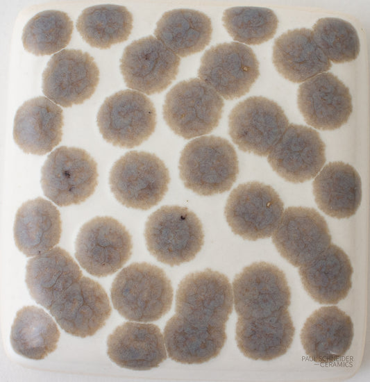 Sample - Dappled /  #6188-M