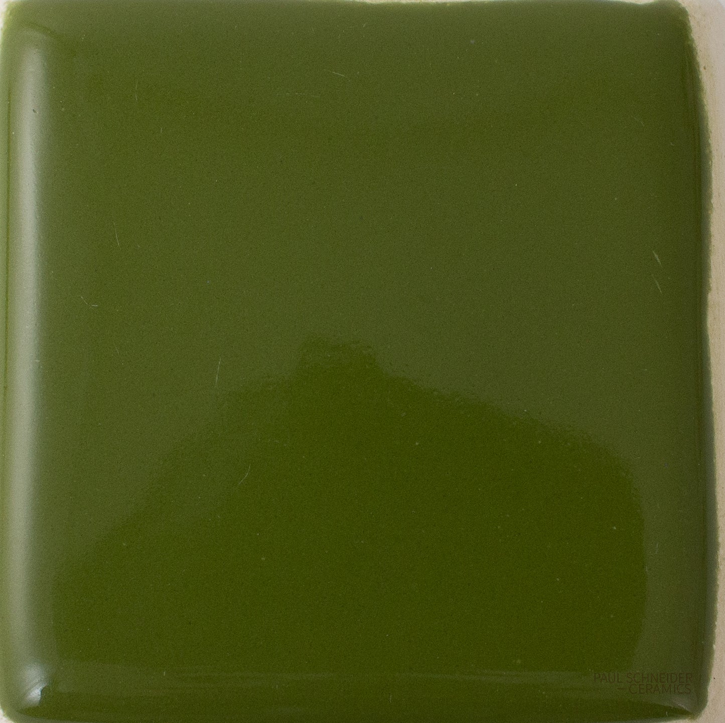 Sample - Solid Glossy  /  #1509-L Fern