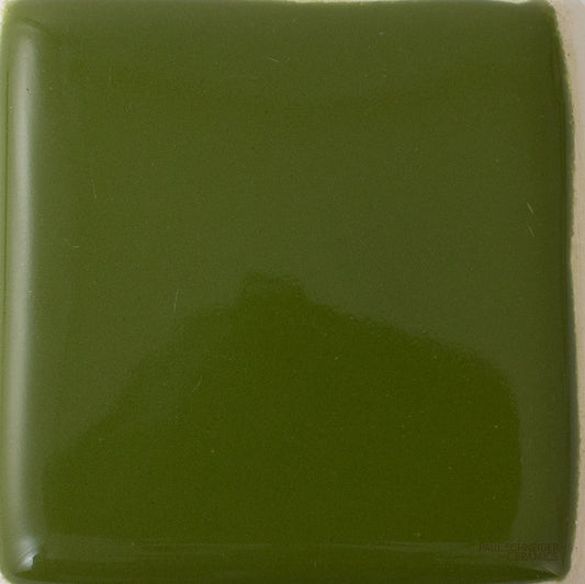 Sample - Solid Glossy  /  #1509-L Fern