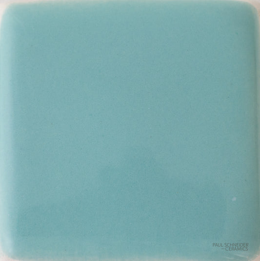Sample - Solid Glossy / #1608-L