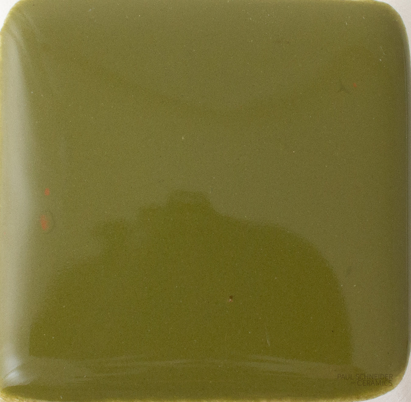 Solid Color Samples Sample - Solid Glossy / #1584-L – PSC