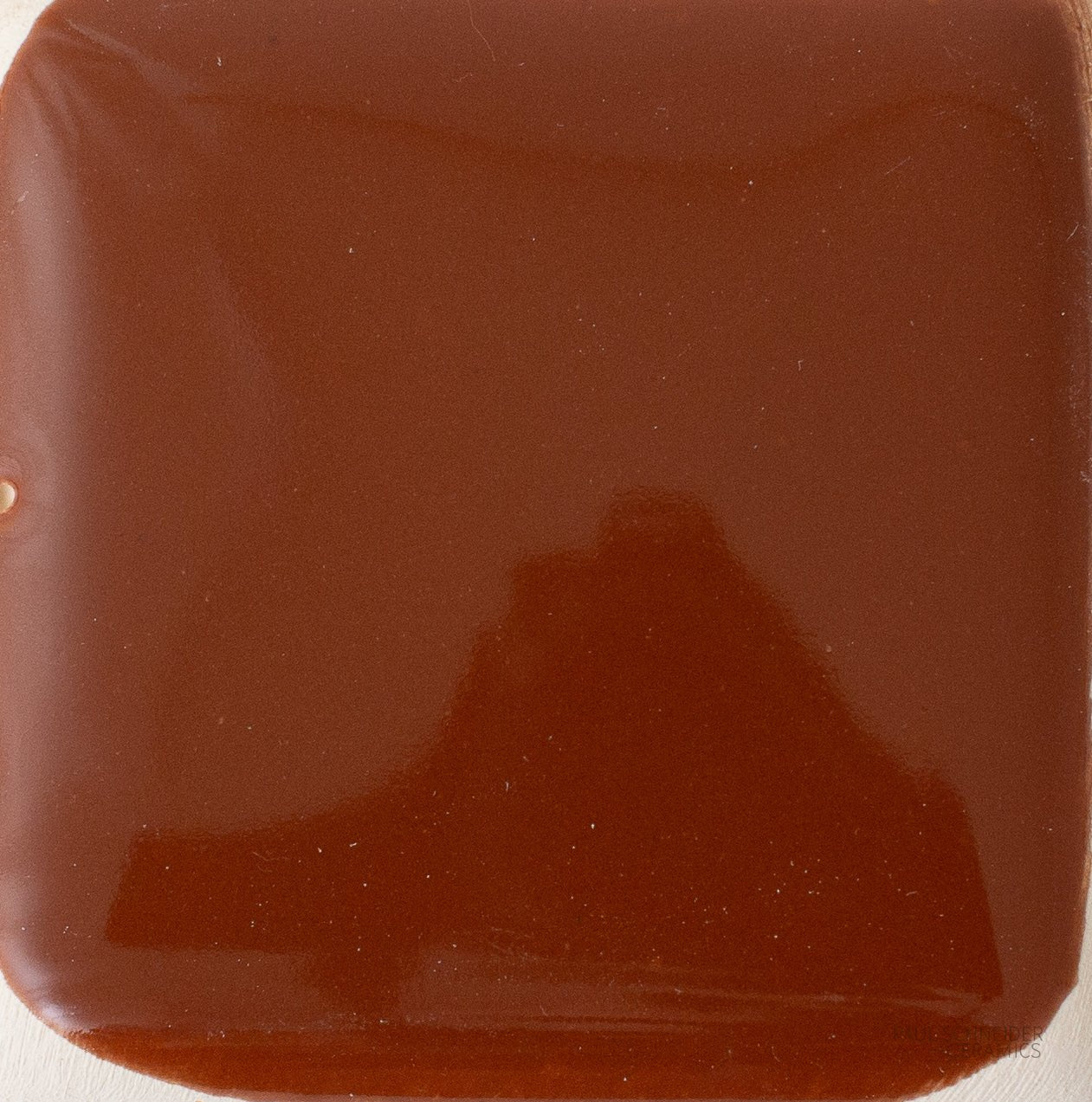 Solid Color Samples Sample - Solid Glossy / #1648-L – PSC