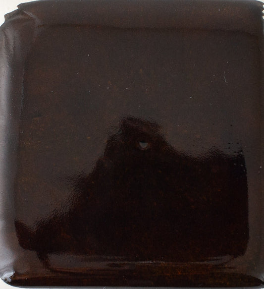 Sample - Solid Glossy / Tortoise #1434-L - Sample